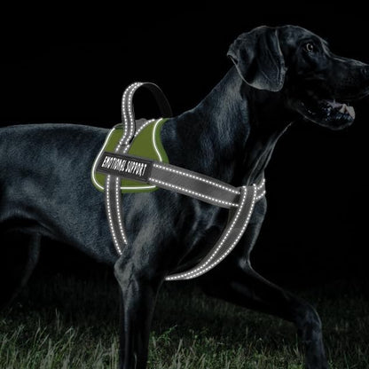 voopet Emotional Support Dog Harness, Professional Service Dog Vest Harness - Image 4
