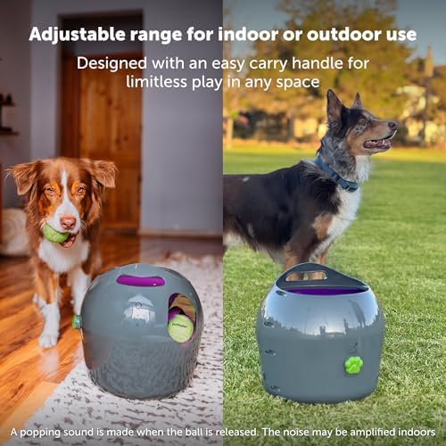 PetSafe Automatic Dog Ball Launcher - Image 4