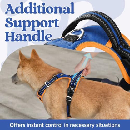 rabbitgoo Dog Harness Small Sized, No Pull 3 Buckles Easy On & Off - Image 4