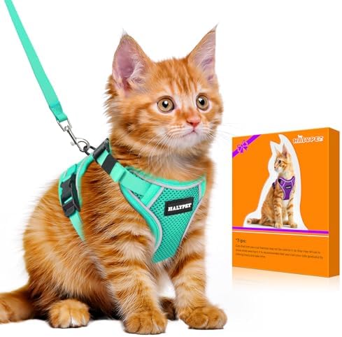 Cat Harness and Leash Set, Escape Proof Kitten Harness by DOMoreWithYourPet