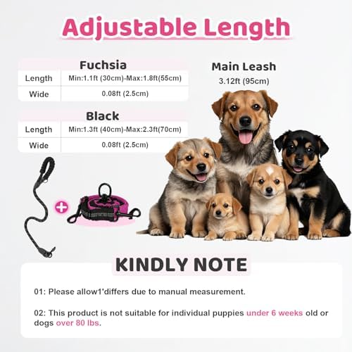 Double Dog Leash - Image 2