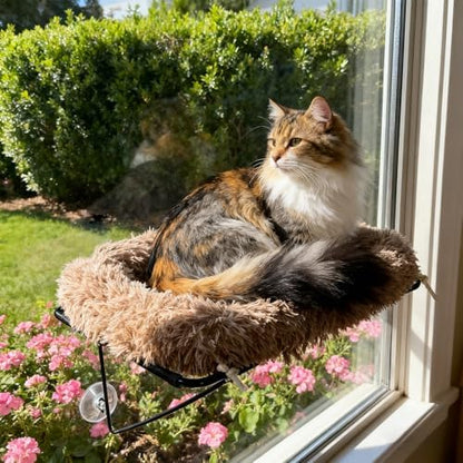 Cat Window Perch, Cordless Cat Hammock Window Seat by Unknown
