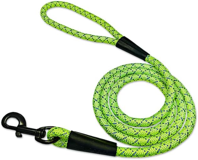 noxgear LightHound Light Up Reflective Dog Harness and Leash - Image 4