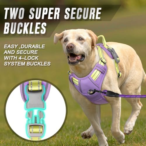 BARKBAY Dog Harness No Pull for Medium Sized Dog Front Back Clips, Dog Vest - Image 4