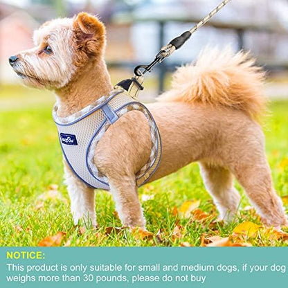 haapaw Dog Harness with Leash Set, No Pull Adjustable Reflective Step-in Puppy - Image 4