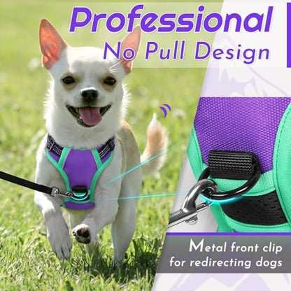 Eagloo Dog Harness for Small Dogs, No Pull Pet Vest - Image 2