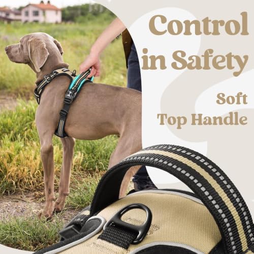 rabbitgoo Dog Harness Medium Sized, Updated Easy On & Off - Image 5
