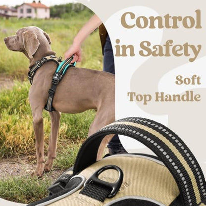 rabbitgoo Dog Harness Small Sized, Updated Easy On & Off - Image 5