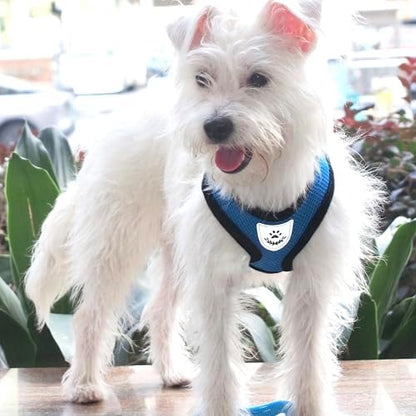 Hypeety Dog Vest Harness No-Pull Reflective Step-in Air Mesh Vest - Image 5