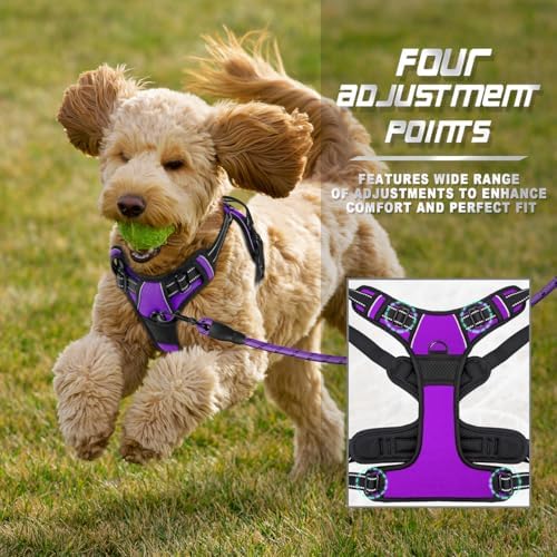 BARKBAY Dog Harness No Pull for Small Sized Dog Front Back Clips, Dog Vest - Image 6