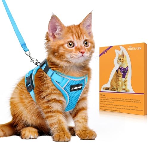 Cat Harness and Leash Set, Escape Proof Kitten Harness, Night Blue by DOMoreWithYourPet