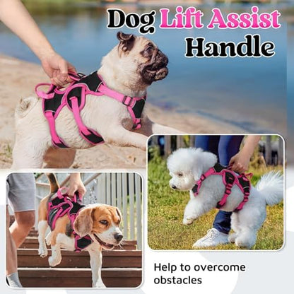 rabbitgoo Escape Proof Dog Harness - Image 3
