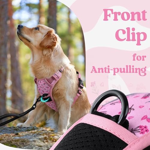 rabbitgoo Dog Harness Small Sized, Updated Easy On & Off - Image 7