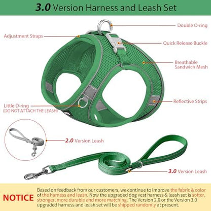AIITLE Small Dog Harness and Leash Set, Step-in Puppy Pet Vest - Image 4