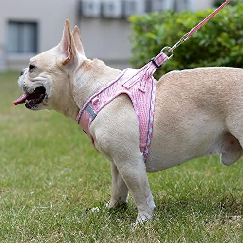 Mercano Soft Mesh Dog Harness and Leash Set, Step-in Reflective Breathable - Image 5