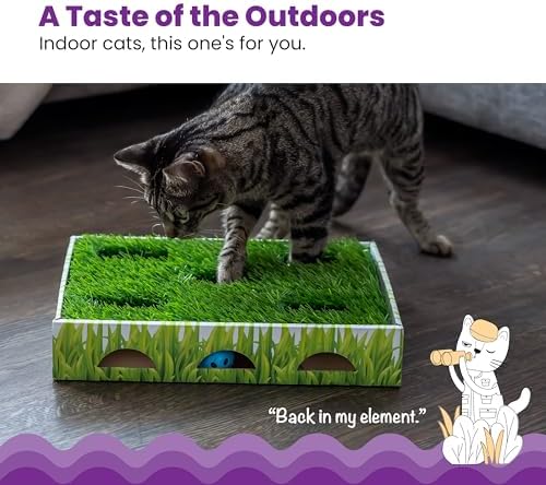 Catstages Grass Patch Hunting Box Cat Toy, Faux Grass & 3 Balls - Image 3