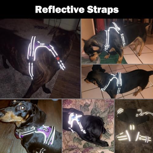 PHOEPET No Pull Dog Harnesses for Small Dogs Reflective Adjustable - Image 6