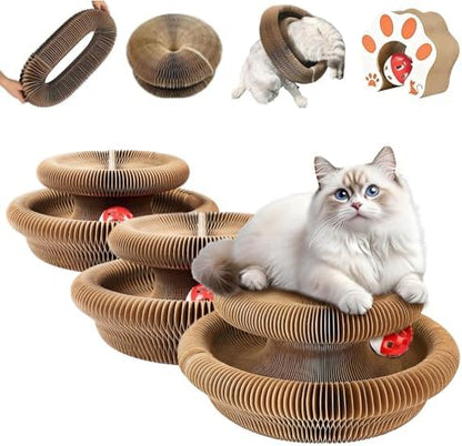 Kitty Curls Cat Toy, Foldable Magic Organ Toy, Cat Scratcher Board by Unknown