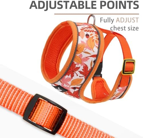 PUPTECK Fall Dog Harness and Leash Set No Pull Small Sized Dogs Puppy - Image 3
