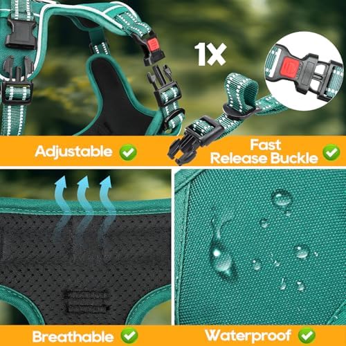 Timos Small Dog Harness, No Pull No Choke, Easy On & Off, Grass Green - Image 6