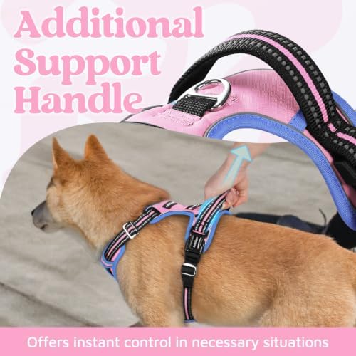 rabbitgoo Dog Harness Small Sized, No Pull 3 Buckles Easy On & Off - Image 4