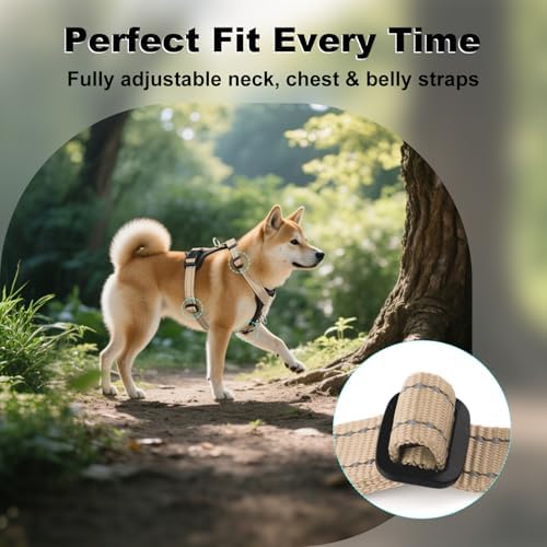 Plutus Pet No Pull Dog Harness - Image 5