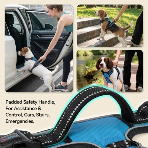 PHOEPET No Pull Dog Harness Medium Reflective Front Clip Puppy Vest - Image 4