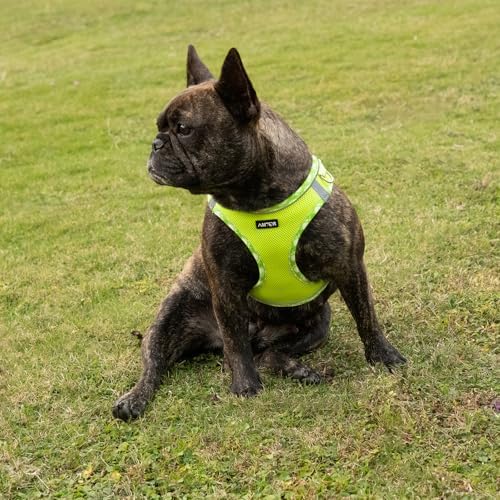 AMTOR Small Dog Harness with Leash Set, No Escape Easy Walk Puppy Harnesses - Image 6