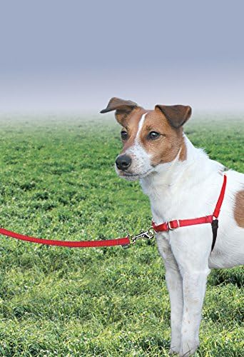 PetSafe Easy Walk No-Pull Dog Harness - Image 2