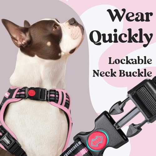 rabbitgoo Dog Harness Medium Sized, Updated Easy On & Off - Image 2