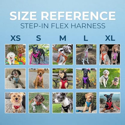 Best Pet Supplies Voyager Adjustable Step-in Flex Breathable Mesh Dog Harness - Image 6