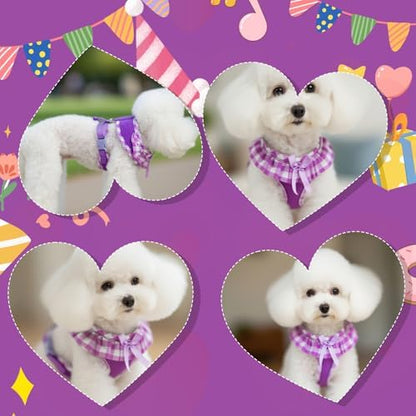 EXPAWLORER Step-in Dog Harness Small Sized Collar and Leash Set - Image 7