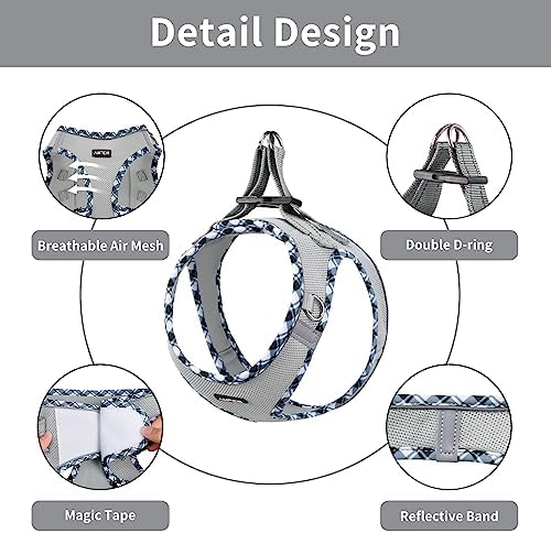 AMTOR Small Dog Harness with Leash Set, No Escape Easy Walk Puppy Harnesses - Image 3