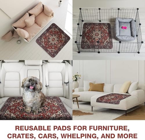 PUPIBOO Washable Pee Pads for Dogs and Cats - Image 3