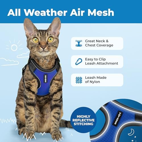 Voyager Escape-Proof Step-in Harness & Leash - Image 3