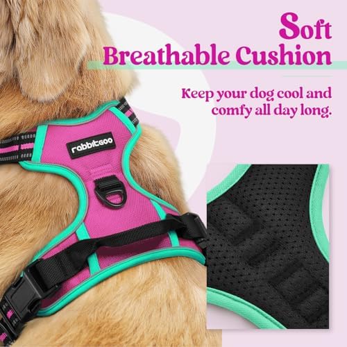 rabbitgoo Dog Harness, No Pull Medium Sized - Image 2