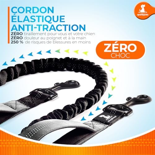 SparklyPets Hands Free Dog Leash, Medium & Large Breeds - Image 3