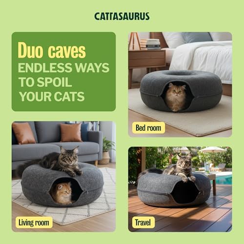 Cattasaurus Peekaboo Cat Cave Duo Jumbo Set, Extra Spacious Cat Donut - Image 3