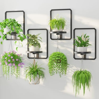 LASZOLA Plant Picture Frame Holder Shelf Wall Window Indoor by LASZOLA