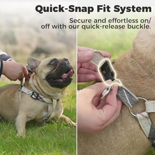BINGPET No Pull Dog Harness Leash Collar Set, Adjustable Step-in Vest - Image 4