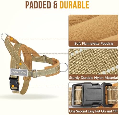 SlowTon No Pull Dog Harness and Leash Set - Image 3
