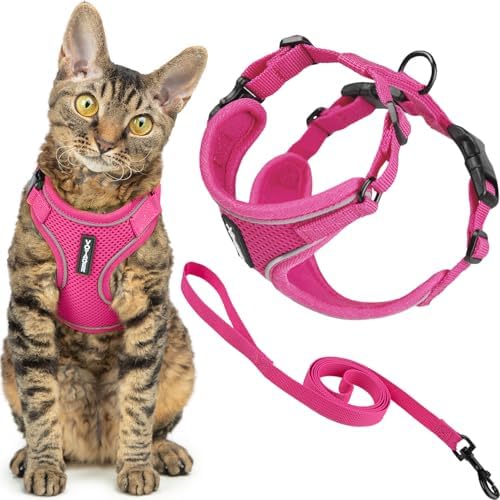 Voyager Escape-Proof Step-in Cat Harness & Leash by BestPetSuppliesLLC