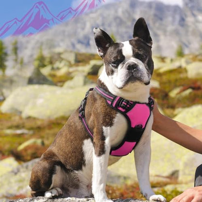 Eagloo Dog Harness for Medium Sized Dogs, No Pull Vest - Image 2