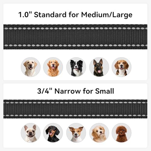 Joytale Reflective Dog Leash for Small Dogs, 6 FT x 3/4" - Image 6