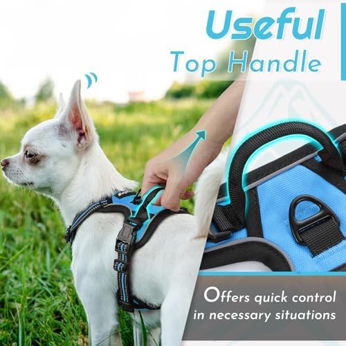 Eagloo Dog Harness for Small Dogs, No Pull Pet Vest - Image 5