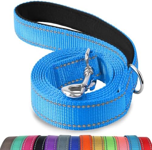 Joytale Reflective Dog Leash for Medium & Large Dogs, 6 FT x 1", Sky Blue by Joytale