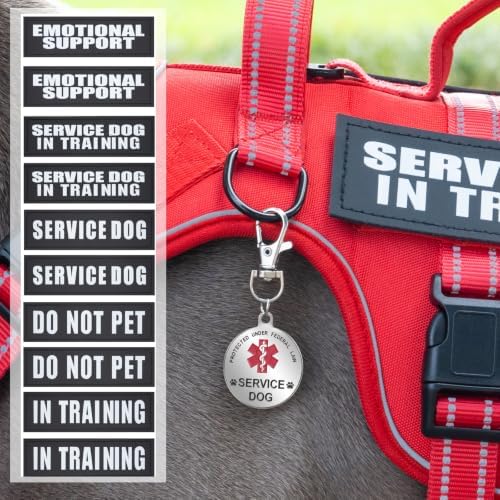 Service Dog Vest Harness, ID Tag + 50 ADA Information Cards - Image 4