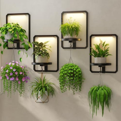 LASZOLA Plant Picture Frame Holder Shelf Wall by LASZOLA