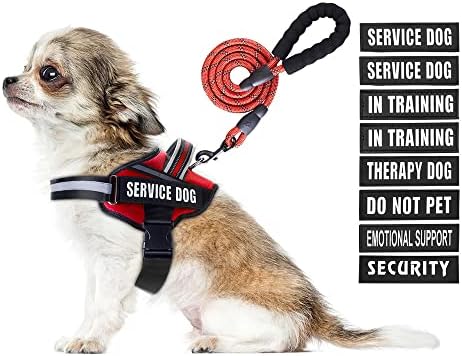 Service Dog Vest Harness and Leash Set, Animire in Training Dog Harness by Animire