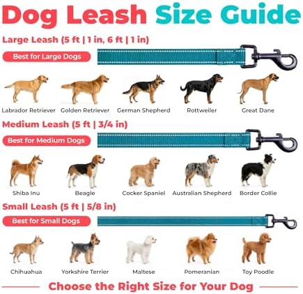 Best Pet Supplies Voyager Nylon Dog Leash - Image 6
